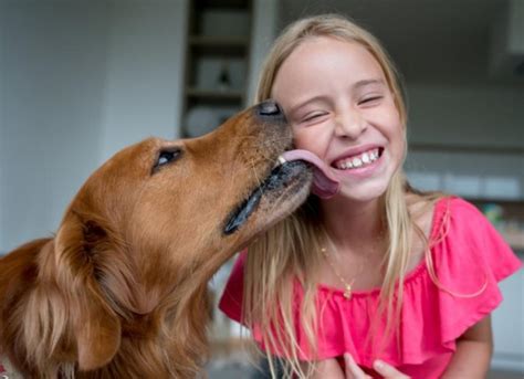 dog licks teen